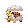 Torkoal variocolor