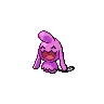 Wynaut variocolor