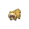 Bidoof variocolor