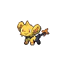 Shinx variocolor