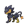Luxray variocolor
