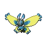 Mothim variocolor
