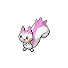 Pachirisu variocolor