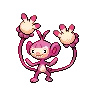 Ambipom variocolor