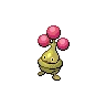 Bonsly variocolor