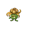 Gloom variocolor