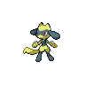 Riolu variocolor