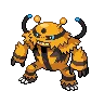Electivire variocolor