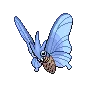 Venomoth variocolor