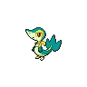 Snivy variocolor