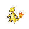 Charmeleon variocolor