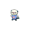 Oshawott variocolor