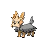 Herdier variocolor
