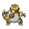 Krookodile variocolor