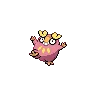 Darumaka variocolor