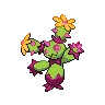 Maractus variocolor