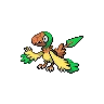 Archen variocolor