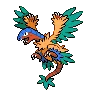 Archeops variocolor