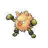 Primeape variocolor
