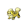 Growlithe variocolor