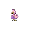 Ducklett variocolor