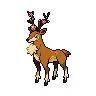 Sawsbuck variocolor