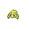 Joltik variocolor