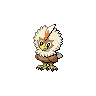 Rufflet variocolor
