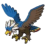 Braviary variocolor