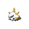 Larvesta variocolor