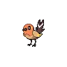 Fletchling variocolor