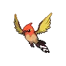 Fletchinder variocolor