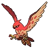 Talonflame variocolor