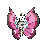 Vivillon variocolor