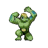 Machoke variocolor