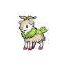Skiddo variocolor