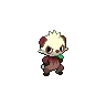 Pancham variocolor