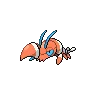 Clauncher variocolor