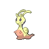 Sliggoo variocolor