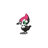 Pikipek variocolor