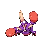 Crabrawler variocolor