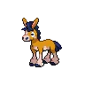 Mudbray variocolor