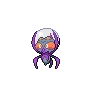 Dewpider variocolor