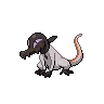 Salandit variocolor