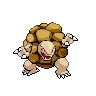 Golem variocolor