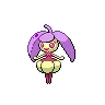 Steenee variocolor