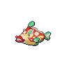 Bruxish variocolor