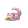 Slowpoke variocolor