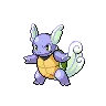 Wartortle variocolor