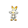 Scorbunny variocolor